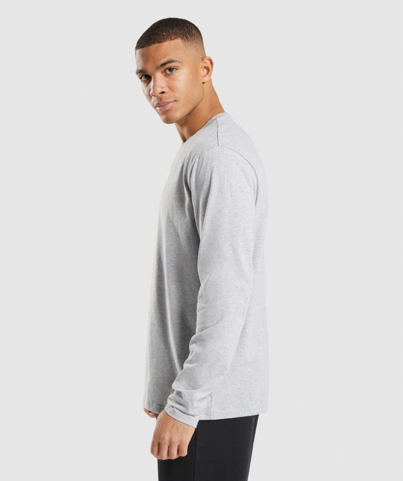 Men's Gymshark Crest Long Sleeve T-Shirts Light Grey | NZ 0BQSKP